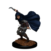 Pathfinder Battles Miniatures: W14 Human Rogue Female RPG Miniatures WizKids