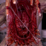 Dirty Down: Snot 15ml Model Paints Dirty Down