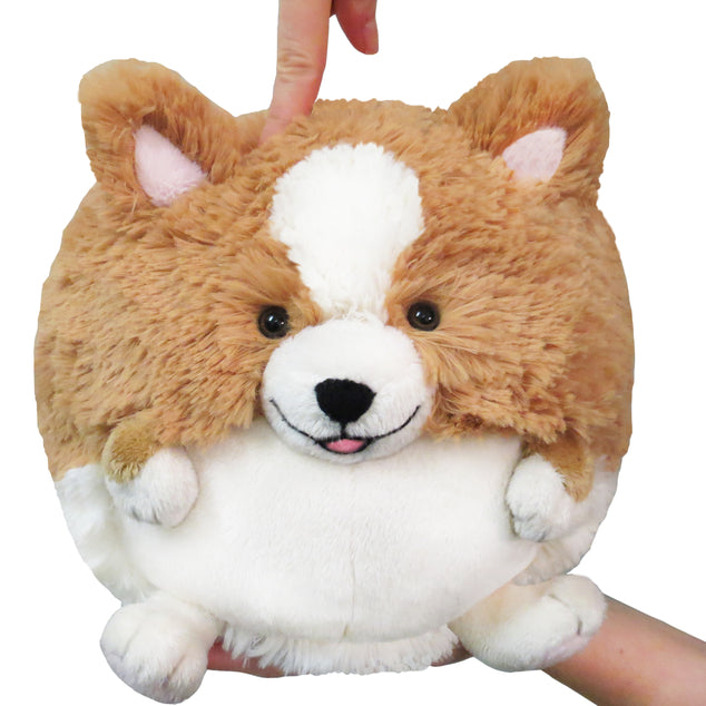 Squishable: Mini Corgi Toys & Plushes Squishable   