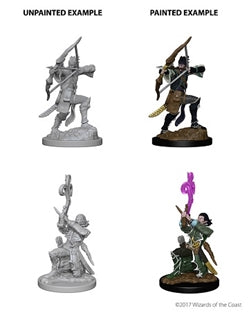 D&D Nolzur's Marvelous Miniatures: W4 Elf Bard (Male) Unpainted Miniatures WizKids