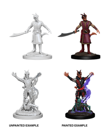 D&D Nolzur's Marvelous Miniatures: W12 Tiefling Warlock (Male) Unpainted Miniatures WizKids