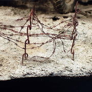 AK Interactive: Terrains Dry Ground - 250ml Model Paints AK INTERACTIVE