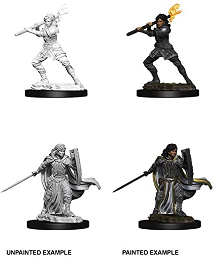 D&D Nolzur's Marvelous Miniatures: W10 Female Human Paladin Unpainted Miniatures WizKids
