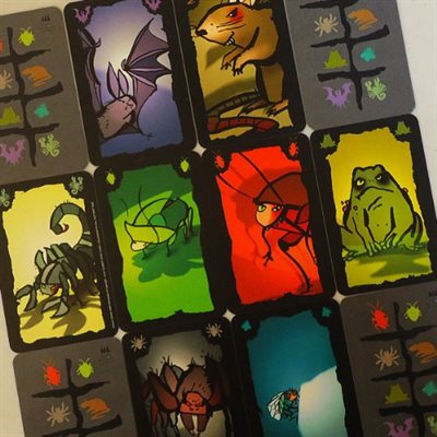 Cockroach Poker Board Games Schmidt Spiele   
