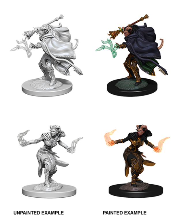 D&D Nolzur's Marvelous Miniatures: W6 Female Tiefling Warlock Unpainted Miniatures WizKids