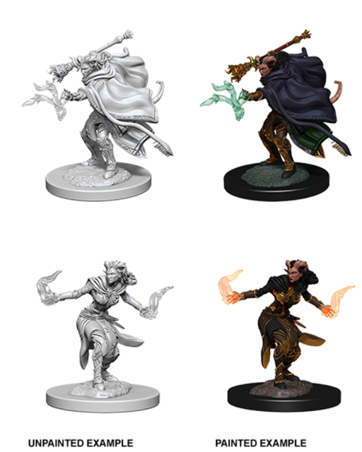 D&D Nolzur's Marvelous Miniatures: W6 Female Tiefling Warlock Unpainted Miniatures WizKids