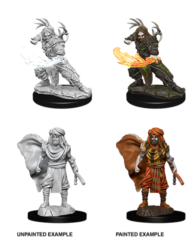 D&D Nolzur's Marvelous Miniatures: W6 Human Druid Unpainted Miniatures WizKids