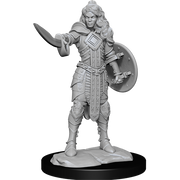 Pathfinder Battles Miniatures: W14 Human Champion Female RPG Miniatures WizKids   