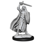 Pathfinder Battles Miniatures: W14 Human Champion Female RPG Miniatures WizKids   