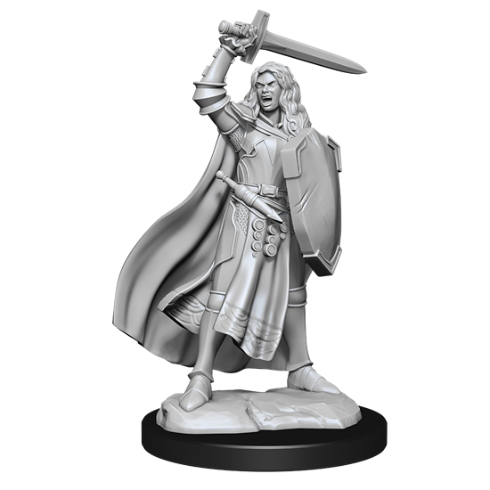 Pathfinder Battles Miniatures: W14 Human Champion Female RPG Miniatures WizKids   