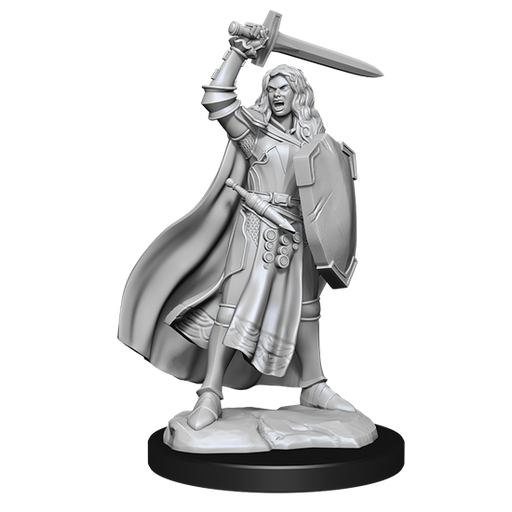 Pathfinder Battles Miniatures: W14 Human Champion Female RPG Miniatures WizKids   