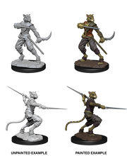 D&D Nolzur's Marvelous Miniatures: W7 Tabaxi Rogue Unpainted Miniatures WizKids