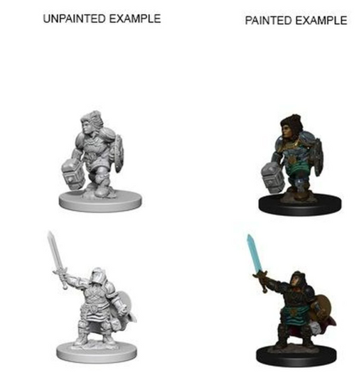 D&D Nolzur's Marvelous Miniatures: W3 Dwarf Female Paladin Unpainted Miniatures WizKids