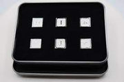 Foam Brain Games: White/Silver 6Ct D6 (Metal) Dice & Gaming Accessories Foam Brain Games