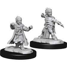 Pathfinder Battles Miniatures: W15 Male Halfling Monk RPG Miniatures WizKids   