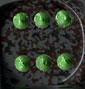 Chessex: "Earth" Speckled 36Ct D6 Dice Set 12mm Dice & Gaming Accessories Chessex