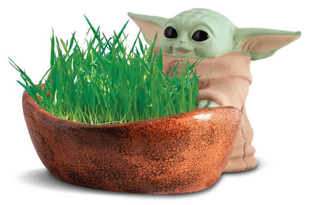 Chia Cat Grass Planter: Star Wars The Mandalorian "The Child" Toys & Plushes Chia Pets   