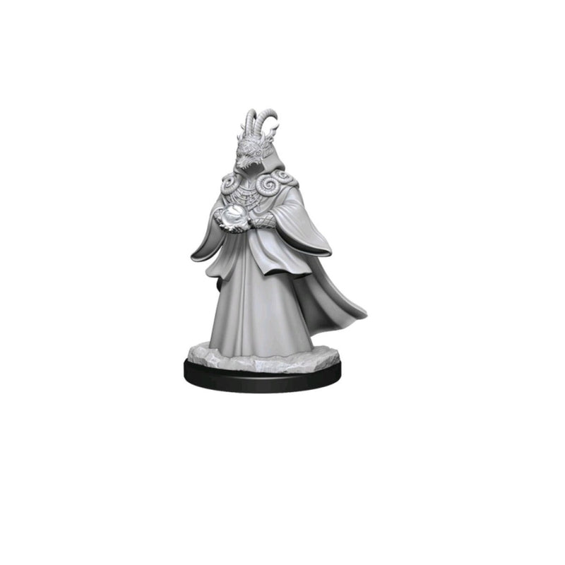 Magic the Gathering Miniatures: W2 Shapeshifters RPG Miniatures WizKids   