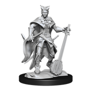 D&D Nolzur's Marvelous Miniatures: W14 Tiefling Bard Female Unpainted Miniatures WizKids