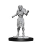 D&D Nolzur's Marvelous Miniatures: W14 Drowned Assassin/Asetic Unpainted Miniatures WizKids