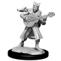 D&D Nolzur's Marvelous Miniatures: W14 Tiefling Bard Female Unpainted Miniatures WizKids
