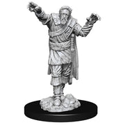 D&D Nolzur's Marvelous Miniatures: W14 Scarecrow/Stone Cursed Unpainted Miniatures WizKids