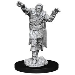 D&D Nolzur's Marvelous Miniatures: W14 Scarecrow/Stone Cursed Unpainted Miniatures WizKids