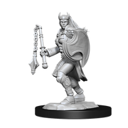 D&D Nolzur's Marvelous Miniatures: W14 Kalashtar Cleric Female Unpainted Miniatures WizKids