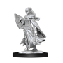 D&D Nolzur's Marvelous Miniatures: W14 Kalashtar Cleric Female Unpainted Miniatures WizKids