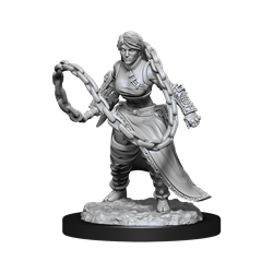 D&D Nolzur's Marvelous Miniatures: W14 Human Monk Female Unpainted Miniatures WizKids