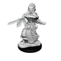 D&D Nolzur's Marvelous Miniatures: W14 Night Hag/Dusk Hag Unpainted Miniatures WizKids