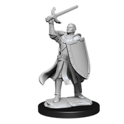 D&D Nolzur's Marvelous Miniatures: W14 Half-Elf Paladin Male Unpainted Miniatures WizKids