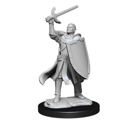 D&D Nolzur's Marvelous Miniatures: W14 Half-Elf Paladin Male Unpainted Miniatures WizKids
