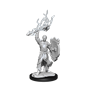 D&D Nolzur's Marvelous Miniatures: W14 Half-Elf Paladin Male Unpainted Miniatures WizKids