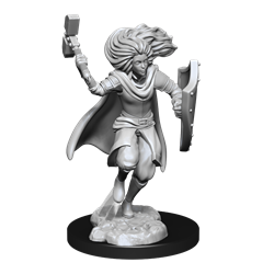 D&D Nolzur's Marvelous Miniatures: W14 Changeling Cleric Male Unpainted Miniatures WizKids