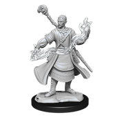 D&D Nolzur's Marvelous Miniatures: W14 Half-Elf Wizard Male Unpainted Miniatures WizKids