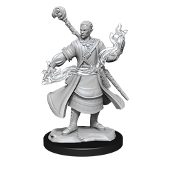 D&D Nolzur's Marvelous Miniatures: W14 Half-Elf Wizard Male Unpainted Miniatures WizKids