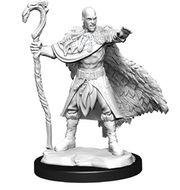 D&D Nolzur's Marvelous Miniatures: W14 Human Druid Male Unpainted Miniatures WizKids