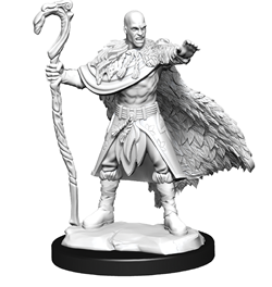 D&D Nolzur's Marvelous Miniatures: W14 Human Druid Male Unpainted Miniatures WizKids