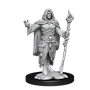 D&D Nolzur's Marvelous Miniatures: W14 Human Druid Male Unpainted Miniatures WizKids