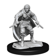 D&D Nolzur's Marvelous Miniatures: W14 Half-Elf Rogue Female Unpainted Miniatures WizKids