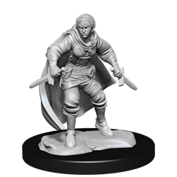 D&D Nolzur's Marvelous Miniatures: W14 Half-Elf Rogue Female Unpainted Miniatures WizKids
