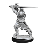 D&D Nolzur's Marvelous Miniatures: W14 Human Paladin Male Unpainted Miniatures WizKids