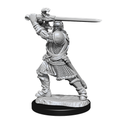 D&D Nolzur's Marvelous Miniatures: W14 Human Paladin Male Unpainted Miniatures WizKids