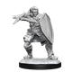 D&D Nolzur's Marvelous Miniatures: W14 Human Paladin Male Unpainted Miniatures WizKids