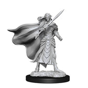 Magic the Gathering Miniatures: W2 Fighter/Elf Cleric RPG Miniatures WizKids   