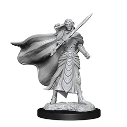 Magic the Gathering Miniatures: W2 Fighter/Elf Cleric RPG Miniatures WizKids   