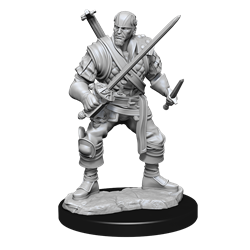 D&D Nolzur's Marvelous Miniatures: W15 Human Bard Male Unpainted Miniatures WizKids