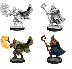 Critical Role Unpainted Miniatures: W1 Hobgoblin Wizard and Druid (Male) Unpainted Miniatures WizKids