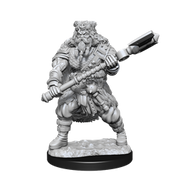 D&D Nolzur's Marvelous Miniatures: W14 Male Human Barbarian Unpainted Miniatures WizKids